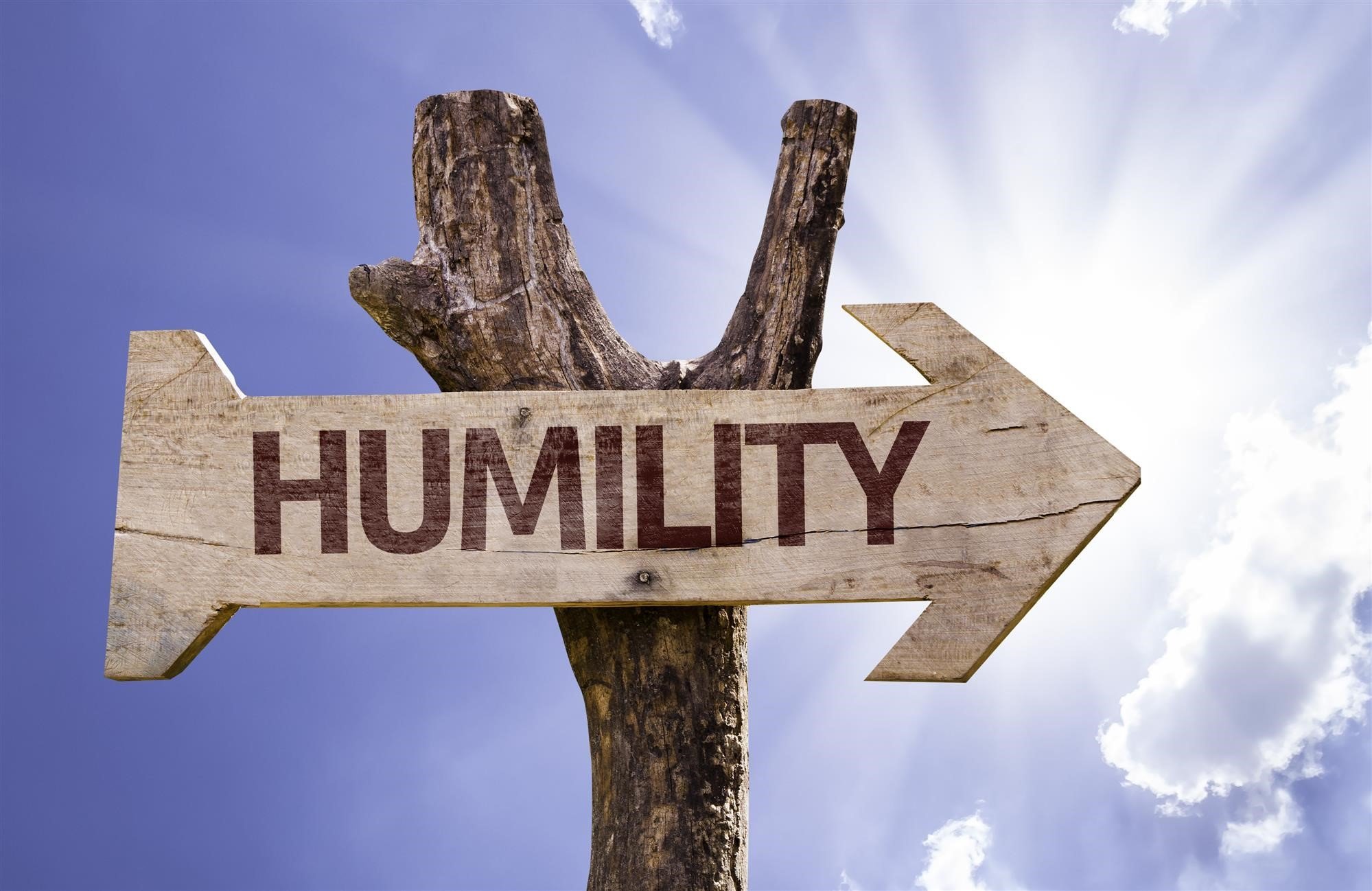 A-Lesson-in-Humility-Step-7